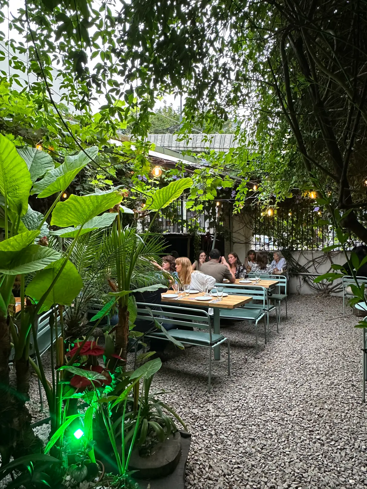 Chill Garden 8