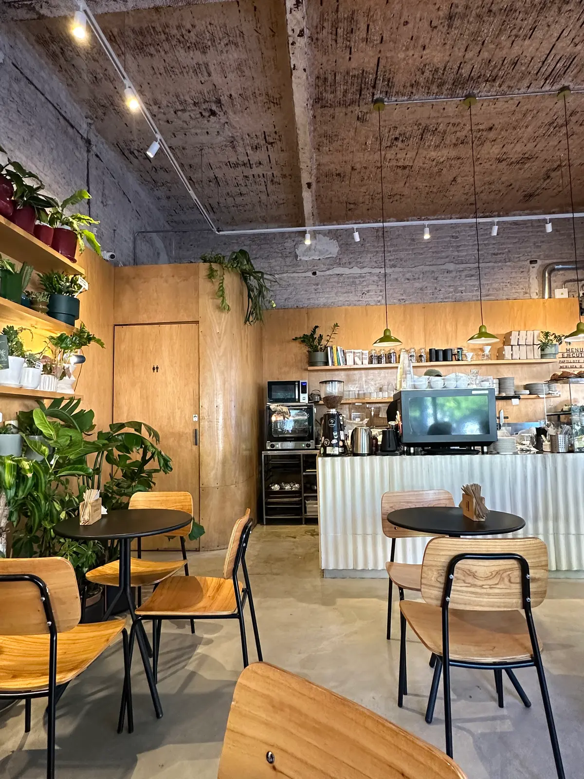 Jungla Café y plantas 8