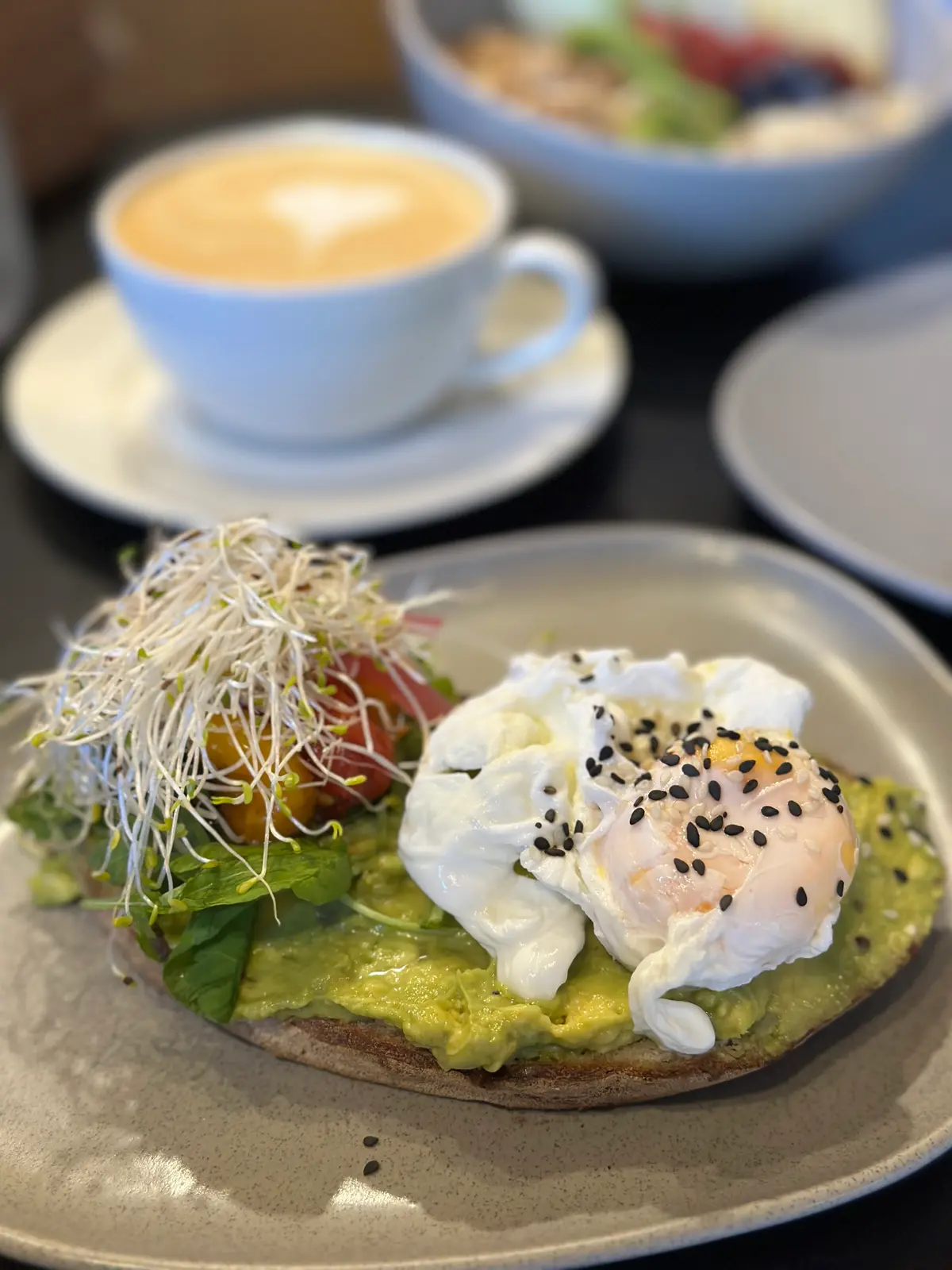 Jungla Café y plantas 10