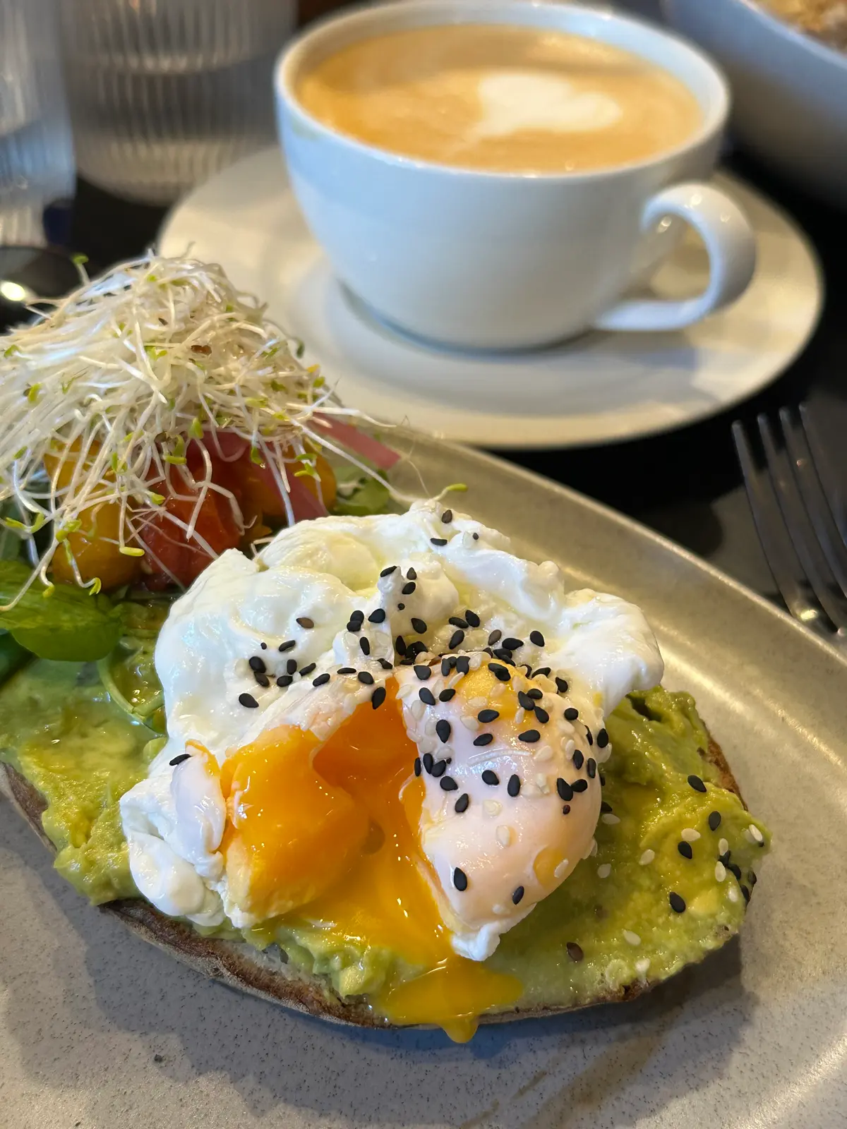 Jungla Café y plantas — foto 4