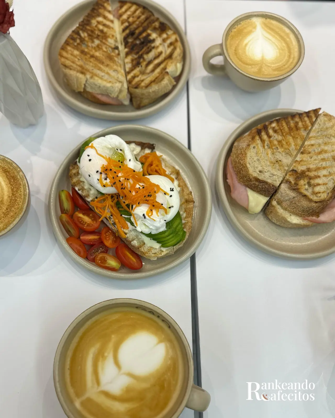 GALO specialty coffee — foto 5