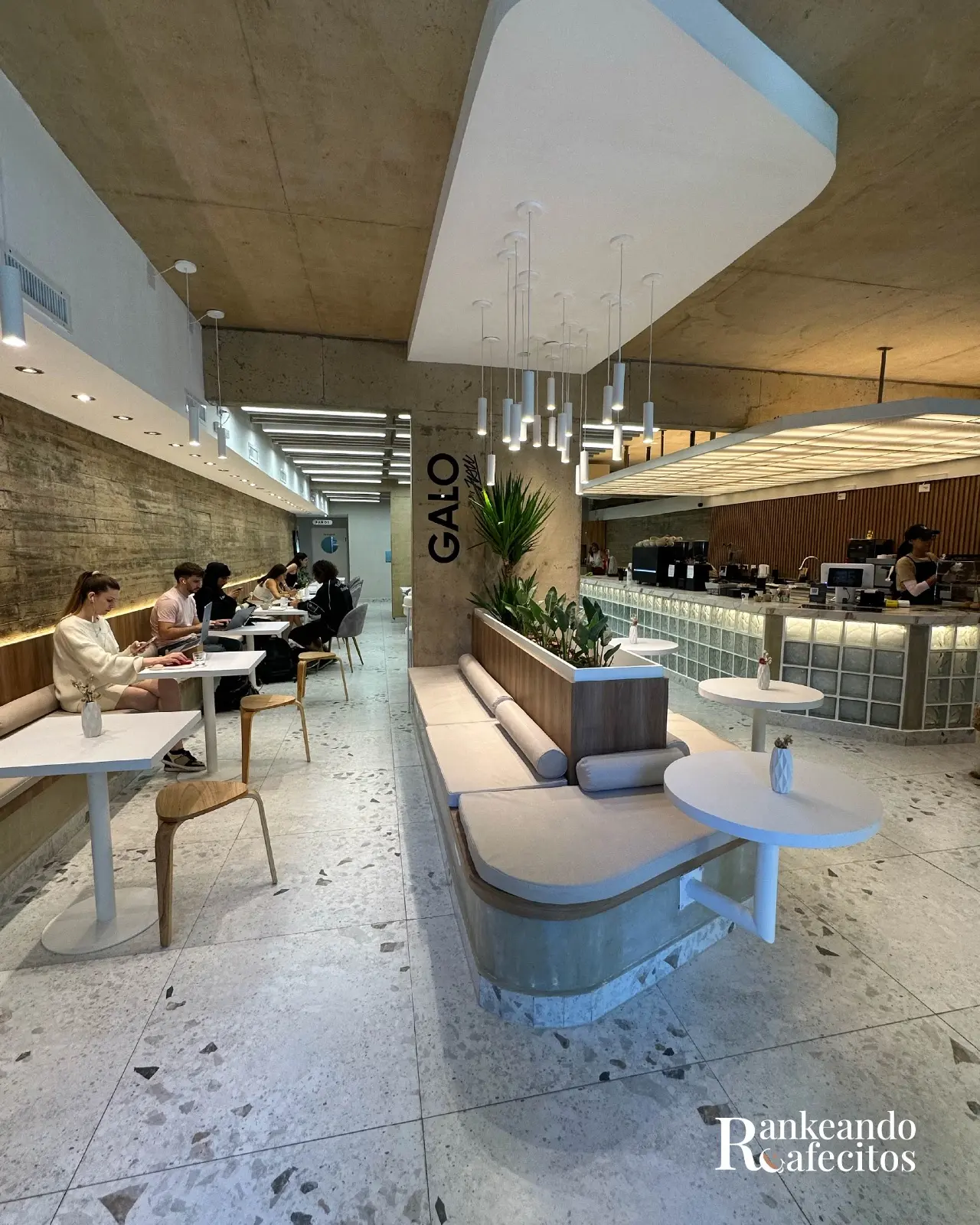 GALO specialty coffee 6