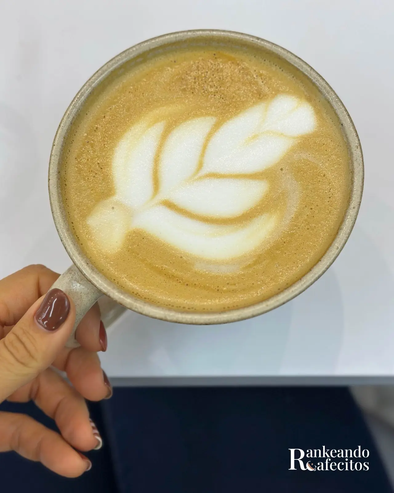 GALO specialty coffee 8
