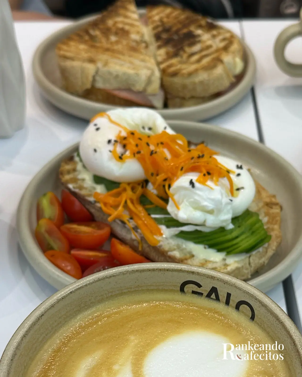 GALO specialty coffee 9
